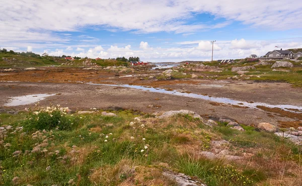 Norveç düşük tide koyunda — Stok fotoğraf