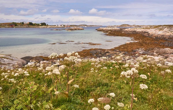 夏のヨーロッパ旅行でノルウェーのフィヨルドから Lanscapes — ストック写真