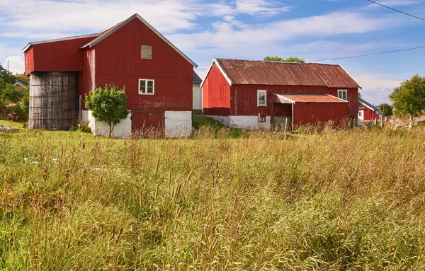 Rote traditionelle Scheune für Heu, Holzgebäude — Stockfoto