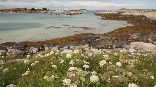 Norvegia fiordo e vista sul paesaggio — Video Stock