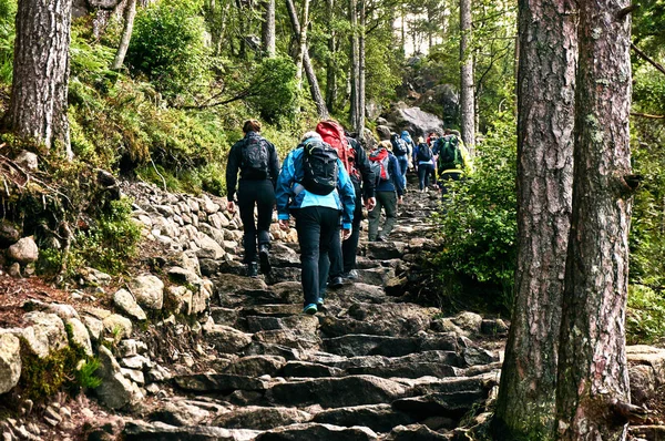 Turistas na trilha — Fotografia de Stock