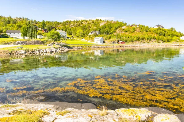 Bahía en el campo noruego, casas rurales en la costa — Foto de Stock