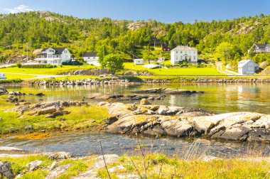 Norveç Fiyordu kıyısında güneşli gün