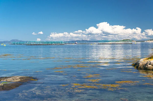 Noorse fjord in de zomer. Kleurrijke baai, kust van Noorwegen — Stockfoto