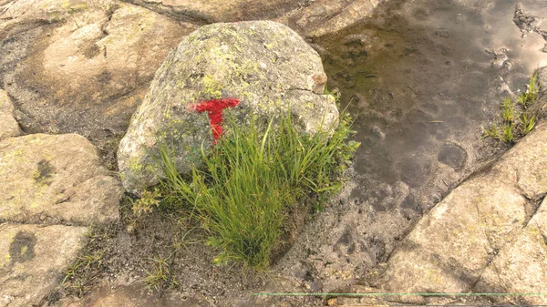 Pedra com o sinal da organização turística norueguesa — Fotografia de Stock