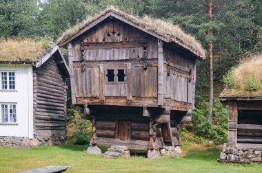 Eski çiftlik yiyecek, ahşap günlükleri, yeşil çatı depolamak için bina