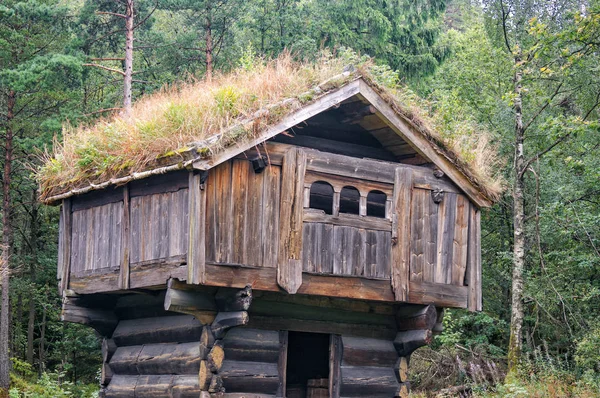 Edificio agricolo per la conservazione di cibo, tronchi di legno, tetto verde — Foto Stock
