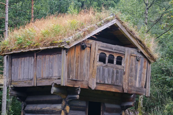 Antico edificio agricolo per la conservazione di cibo, tronchi di legno, tetto verde — Foto Stock