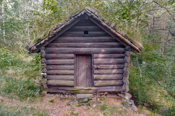 Ancien bâtiment de ferme pour stocker de la nourriture, des grumes en bois, toit vert — Photo