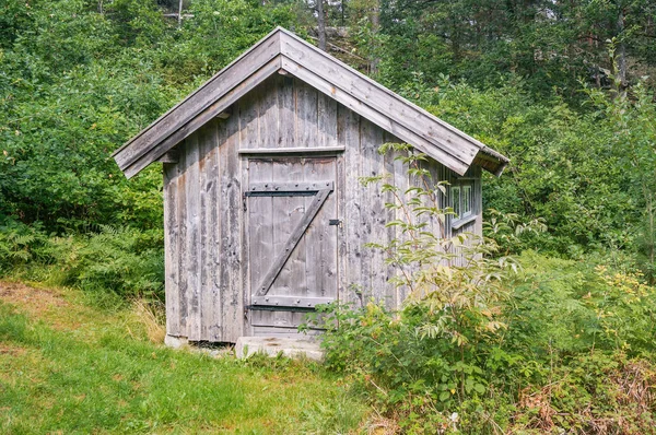 Vecchia casa di tronchi, tetto verde — Foto Stock