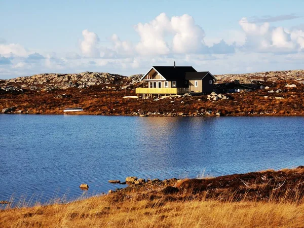 Χορτοφαγία σε μια νορβηγική λίμνη το φθινόπωρο — Φωτογραφία Αρχείου