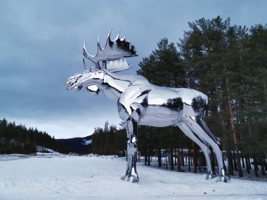 Big Moose 'un kış manzarası Storelgen