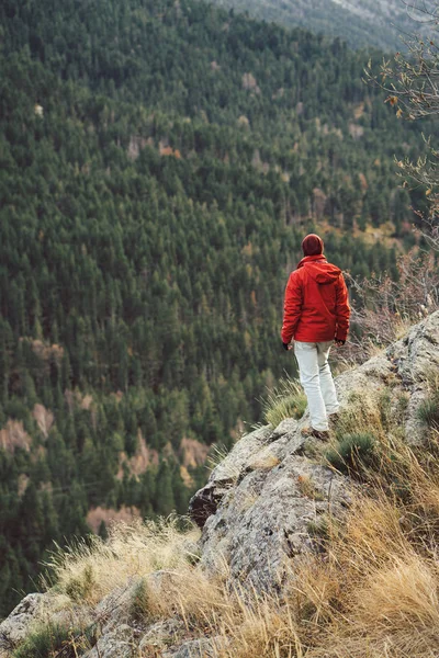 岩の上に立つ男 — ストック写真