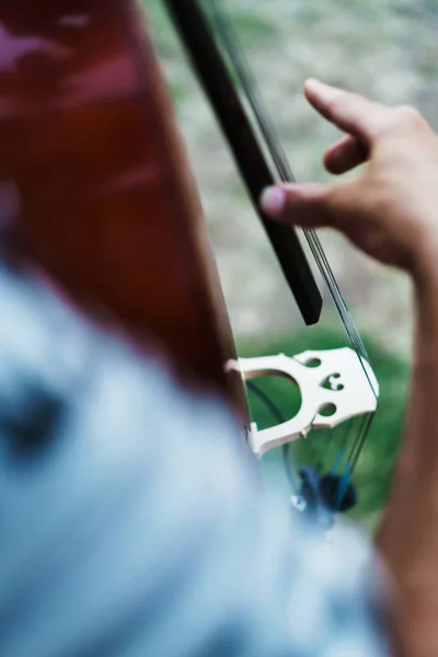 Orang memetik string di instrumen — Stok Foto