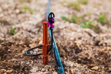 Bahçede su FİSKİYESİ