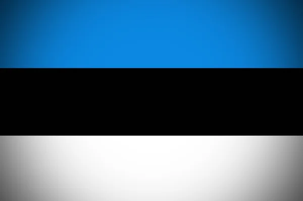 :Флаг Эстонии, оригинальный и простой флаг Эстонии — стоковое фото