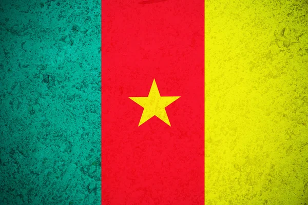 Drapeau camerounais, drapeau camerounais illustration symbole — Photo