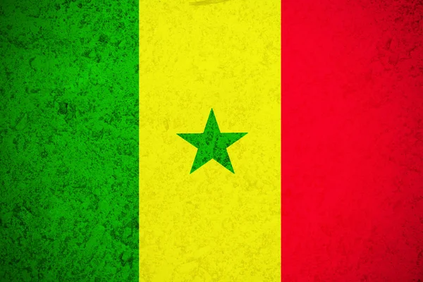 Senegal national flag illustration symbol — Stock Photo, Image