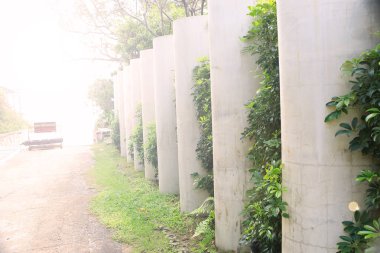 Güneş çit, çit arka plan ışığı