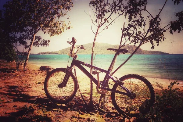 Bicycle on the beautiful beach — Stock Photo, Image