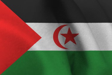 Batı Sahra bayrak 3d çizim simgesi