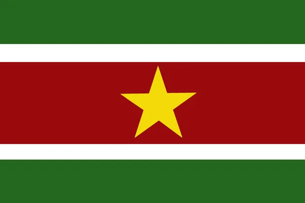 苏里南国旗 3d 图符号。苏里南的旗帜 — 图库照片