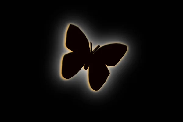 Butterfly illustration design on the black background — Stock Photo, Image