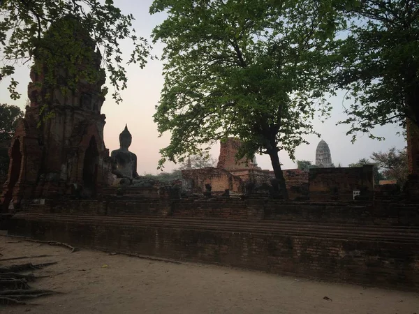 Thai Emberek Buddha Fej Történelmi Park Ókori Maradványok — Stock Fotó