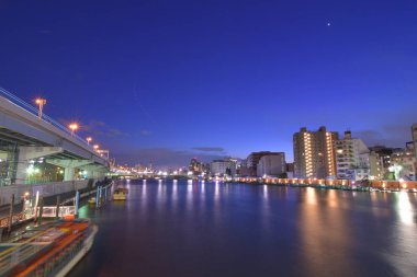 mangrov orman güzel görünüm turistik tarafından