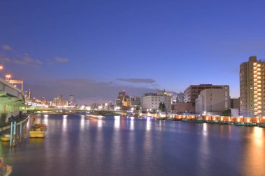 mangrov orman güzel görünüm turistik tarafından