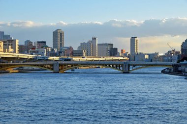 mangrov orman güzel görünüm turistik tarafından