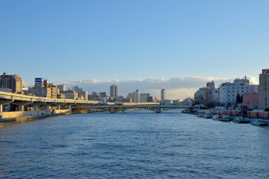 mangrov orman güzel görünüm turistik tarafından