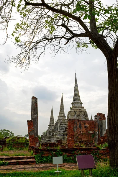 Yaşlılık antik tapınak