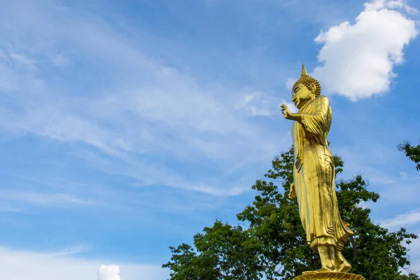 Tayland tapınak güzelliği