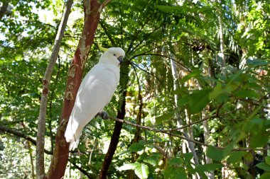 Doğal konumlar güzel etkilendim