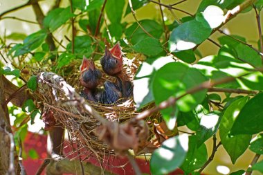 Doğal konumlar güzel etkilendim