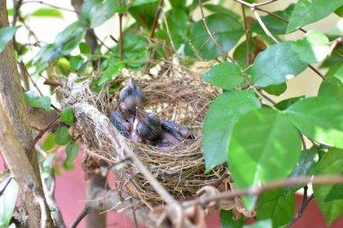 Doğal konumlar güzel etkilendim