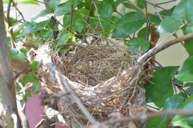 Doğal konumlar güzel etkilendim