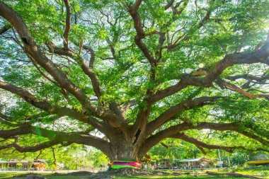 Doğal konumlar güzel etkilendim