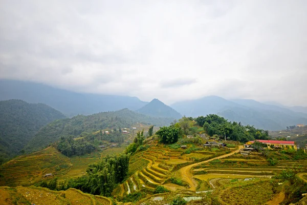 Sapa vietnam, natuurlijke attracties — Stockfoto