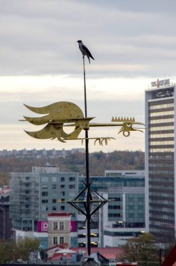 Şehrin arka planda bir fırıldak oturan küçük karga,.