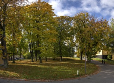 sonbahar yatay, parkta yaprak döken ağaçlar