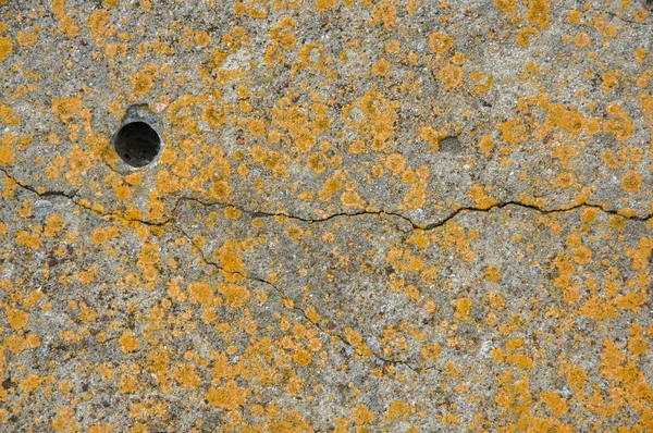 Abstract stone background, covered with yellow moss, with a crack and a hole — Stock Photo, Image
