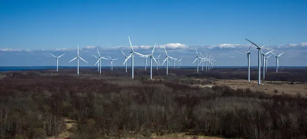 Bahar karanlık ormanın içinde Rüzgar jeneratörleri ile Panorama