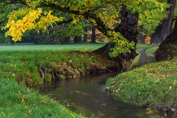 Herbstromantische Ecken mit dem Fluss im Schlosspark — Stockfoto