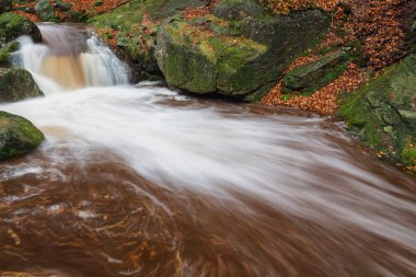 Bohemia Nehri üzerinde art arda sıralı
