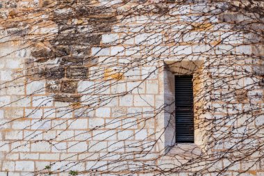 taştan bir duvar sarmaşık tam penceresinde