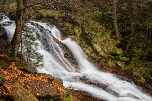 Belle cascate nella foresta bavarese — Foto Stock