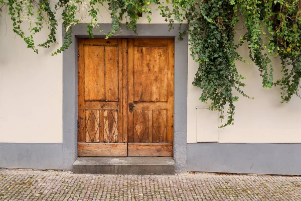 Wooden door overgrown with ivy — Stock Photo, Image