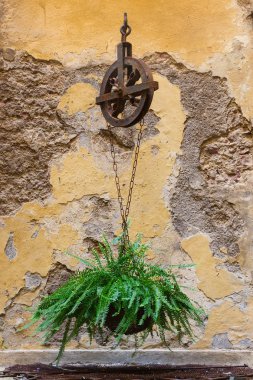 Antik çeşme avluda bir görünümünü bir makara ve ferns asılı bir zincir ile dekore edilmiş